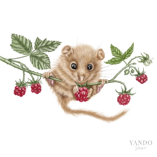 Galerie-Illustration Haselmaus und Himbeere II – handgemaltes Naturmotiv von YANDO Designs