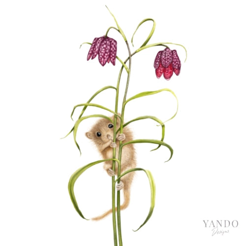 Galerie-Illustration Haselmaus und Schachbrettblume – handgemaltes Naturmotiv von YANDO Designs
