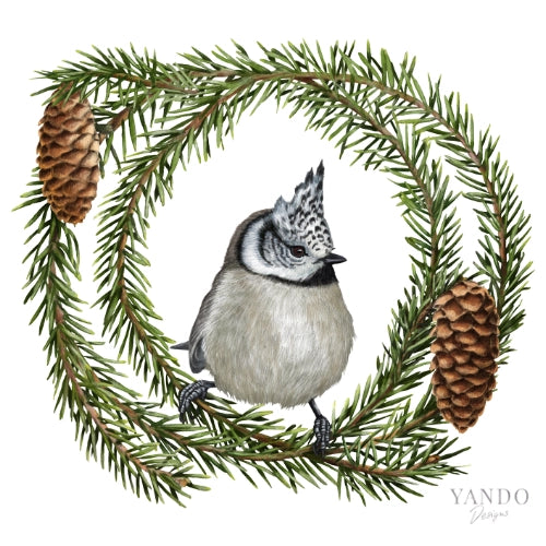 Galerie-Illustration Haubenmeise und Fichte – handgemaltes Naturmotiv von YANDO Designs
