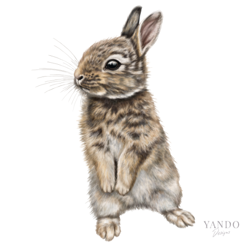Kaninchen Kunstdruck in Szene gesetzt – Galeriewand mit Naturmotiven