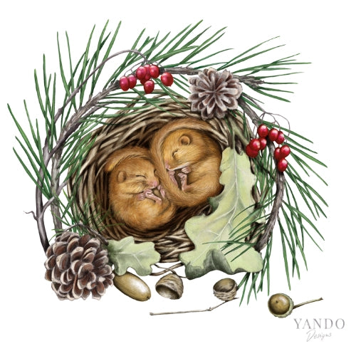 Galerie-Illustration Schlafende Haselmäuse – handgemaltes Naturmotiv von YANDO Designs