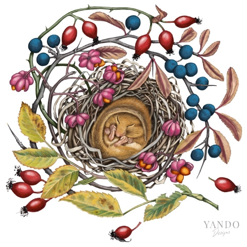 Galerie-Illustration Schlafende Haselmaus – handgemaltes Naturmotiv von YANDO Designs