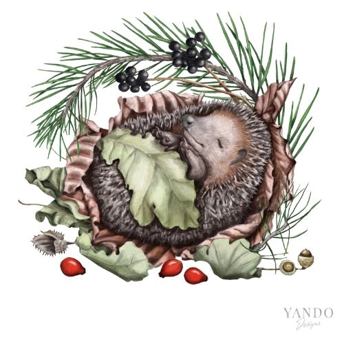 Galerie-Illustration Schlafender Igel – handgemaltes Naturmotiv von YANDO Designs