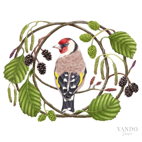 Galerie-Illustration Stieglitz und Schwarzerle – handgemaltes Naturmotiv von YANDO Designs