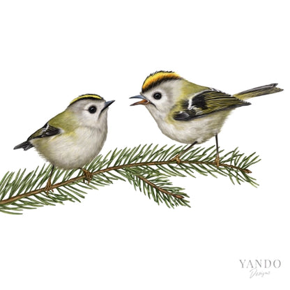 Zwei Wintergoldhähnchen auf einem Fichtenzweig, handillustriertes Motiv im Detail