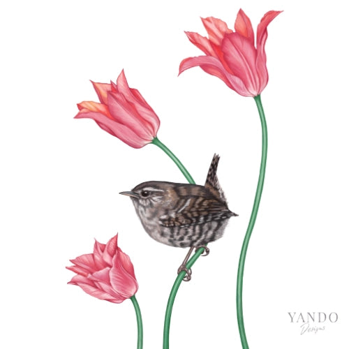 Galerie-Illustration Zaunkönig – handgemaltes Naturmotiv von YANDO Designs