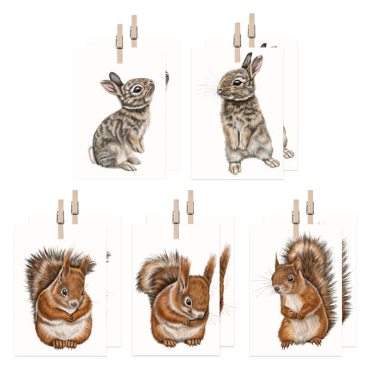 Eichhörnchen und Kaninchen Geschenkanhänger-Sammlung – zehn Mini-Kärtchen mit Holzklammer