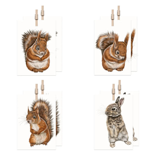 Eichhörnchen und Kaninchen Geschenkanhänger-Sammlung – acht Mini-Kärtchen mit Holzklammer