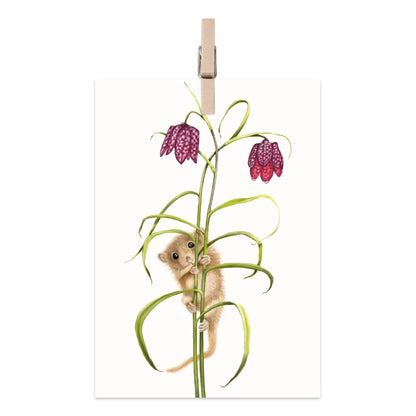 Geschenkanhänger Haselmaus und Schachbrettblume
