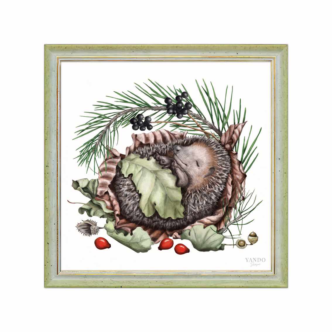 Gerahmter Kunstdruck – Schlafender Igel, Naturmotiv im Holzrahmen