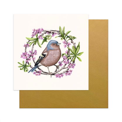 Grußkarten-Set Singvögel – Buchfink und Seidelbast, 13×13 cm Klappkarte mit goldenem Umschlag