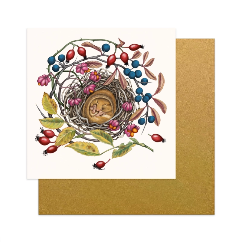 Grußkarten-Set Schlafende Tiere – Schlafende Haselmaus, 13×13 cm Klappkarte mit goldenem Umschlag