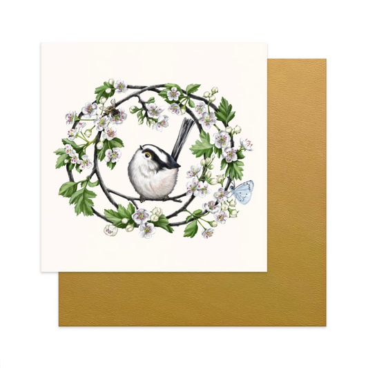 Grußkarten-Set Garten- und Frühlingsvögel – Schwanzmeise und Weißdorn, 13×13 cm Klappkarte