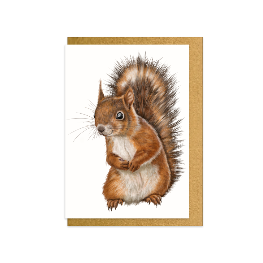 Grußkarte Eichhörnchen