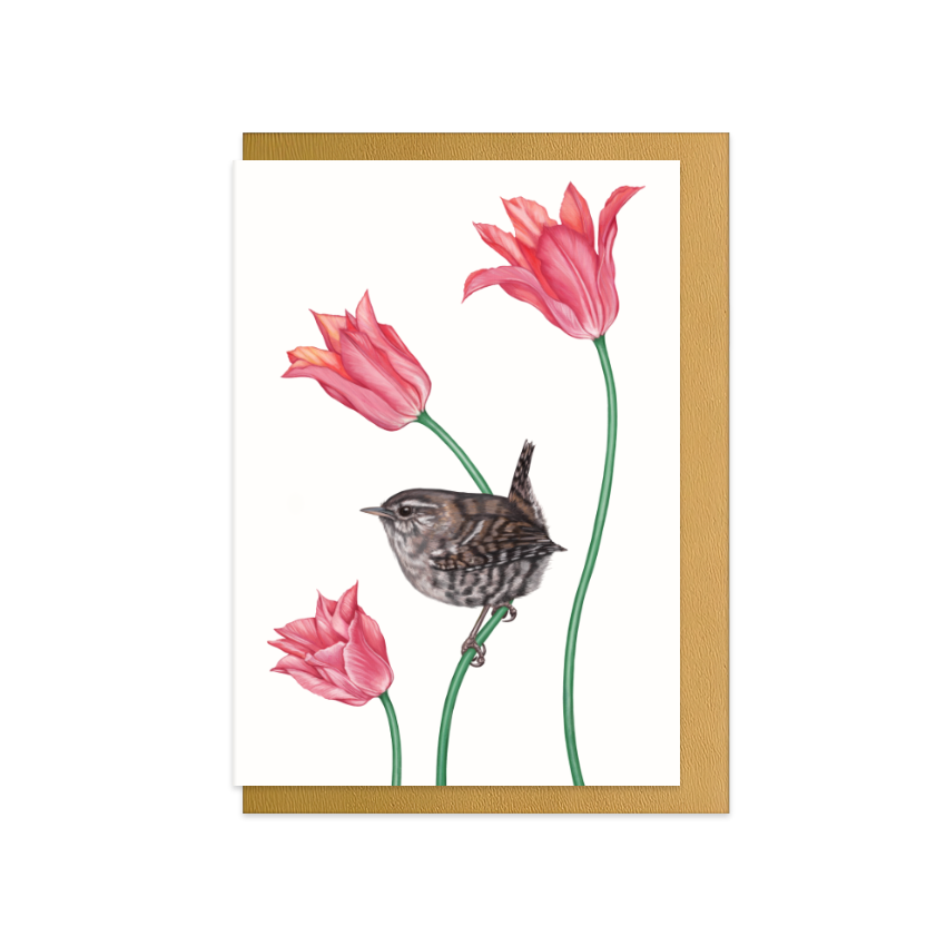 Grußkarte Zaunkönig und Tulpe