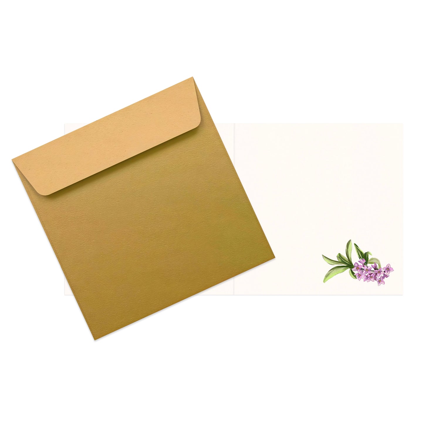Innenseite — Grußkarte Buchfink und Seidelbast mit Naturmotiv
