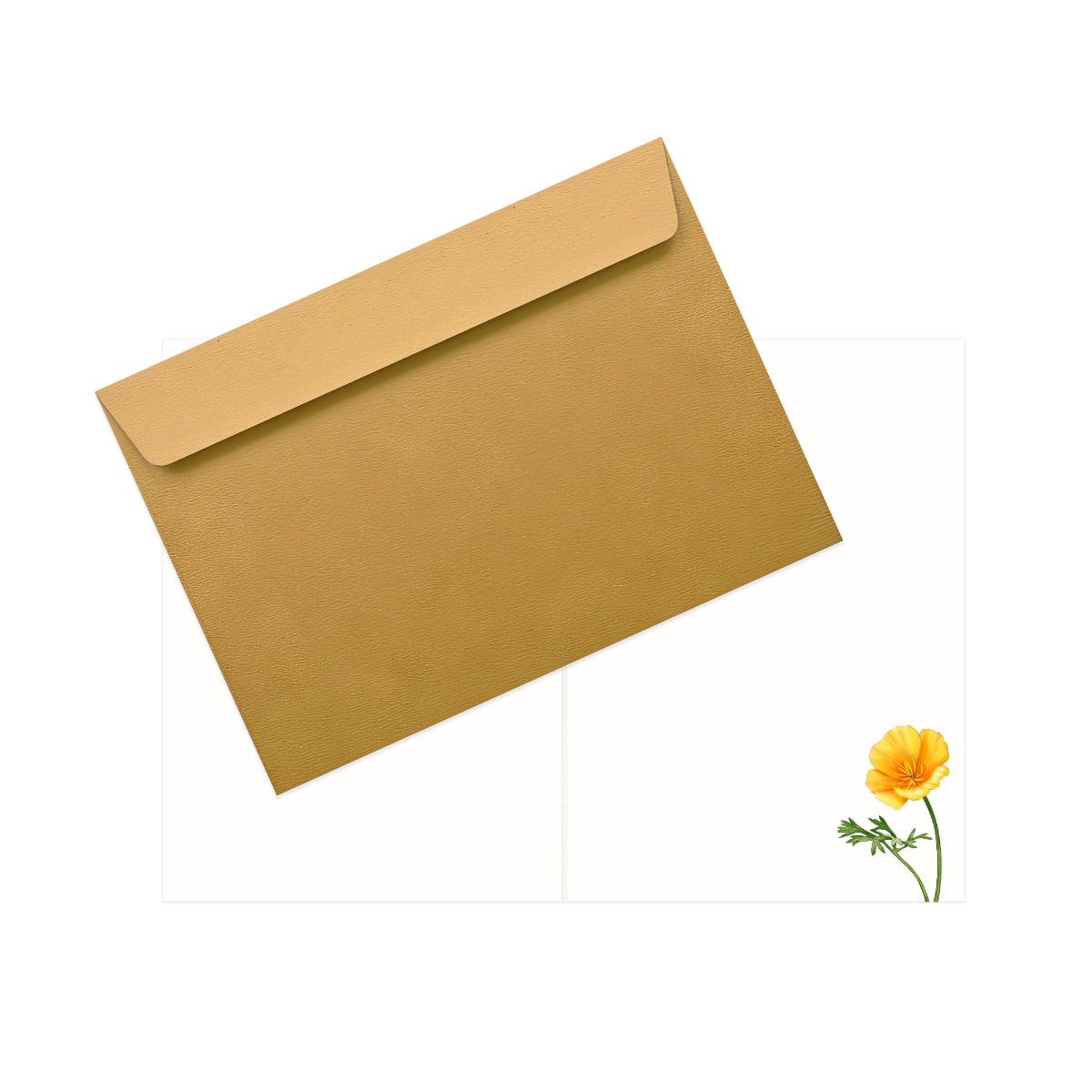 Grußkarte Haselmaus und Goldmohn – Innenansicht mit Naturpapier und goldenem Umschlag