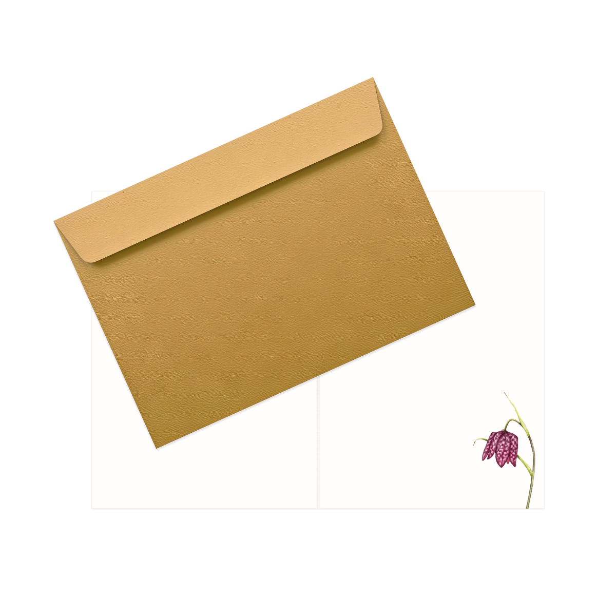 Grußkarte Haselmaus und Schachbrettblume – Innenansicht mit Naturpapier und goldenem Umschlag