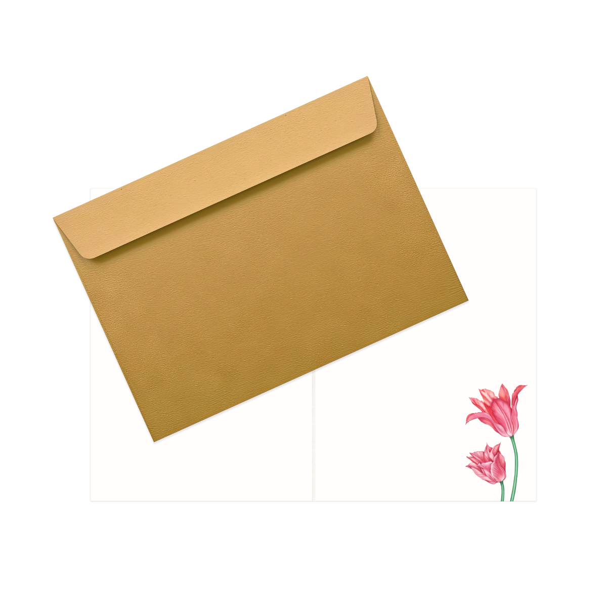 Grußkarte Zaunkönig und Tulpe – Innenansicht mit Naturpapier und goldenem Umschlag