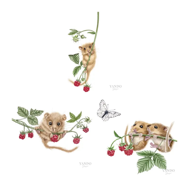 Haselmaus Himbeere - Kunstdruck-Sammlung