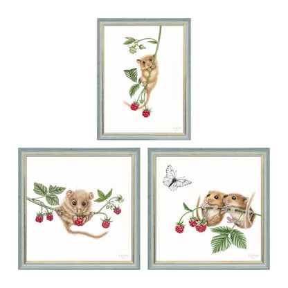 Haselmaus Himbeere - Wandbild-Sammlung mit Holzrahmen