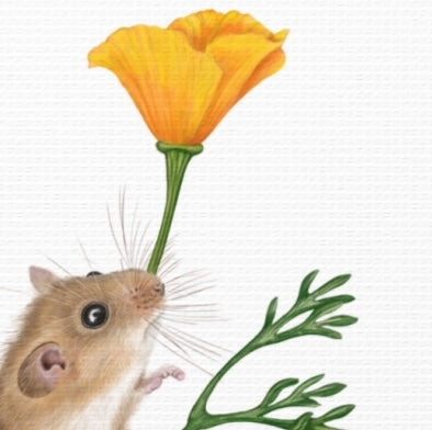 Leinwand mit detailliertem Naturmotiv, Haselmaus schnuppert an leuchtend orangefarbenem Goldmohnblütenstängel. - Leinwanddruck - Haselmaus und Goldmohn - YANDO Designs
