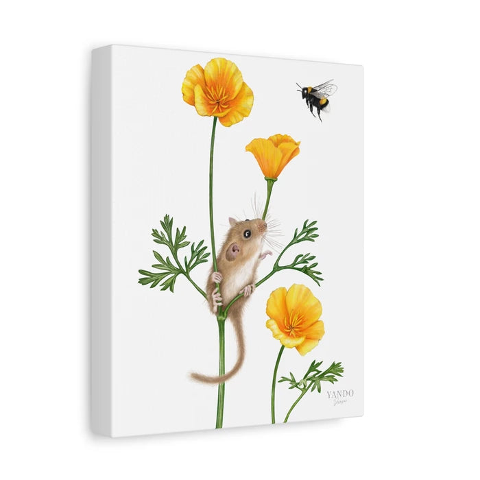 Leinwanddruck Haselmaus und Goldmohn – Seitenansicht, auf Holzkeilrahmen gespannt