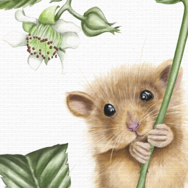 Leinwand mit detailliertem Naturmotiv einer Haselmaus, die einen grünen Stängel hält, neben einer weißen Haselnussblüte und. - Leinwanddruck - Haselmaus und Himbeere - YANDO Designs