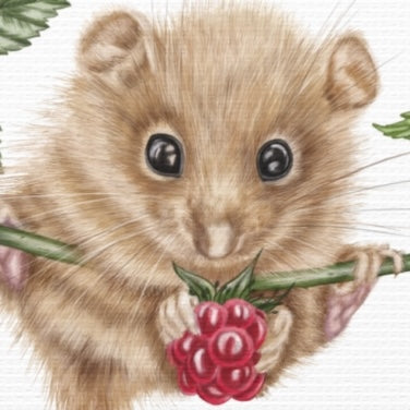Detailliertes Naturmotiv auf Leinwand mit Haselmaus, die rote Himbeere hält, sanfte Brauntöne, feine Fellstruktur sichtbar. - Leinwanddruck - Haselmaus und Himbeere II - YANDO Designs
