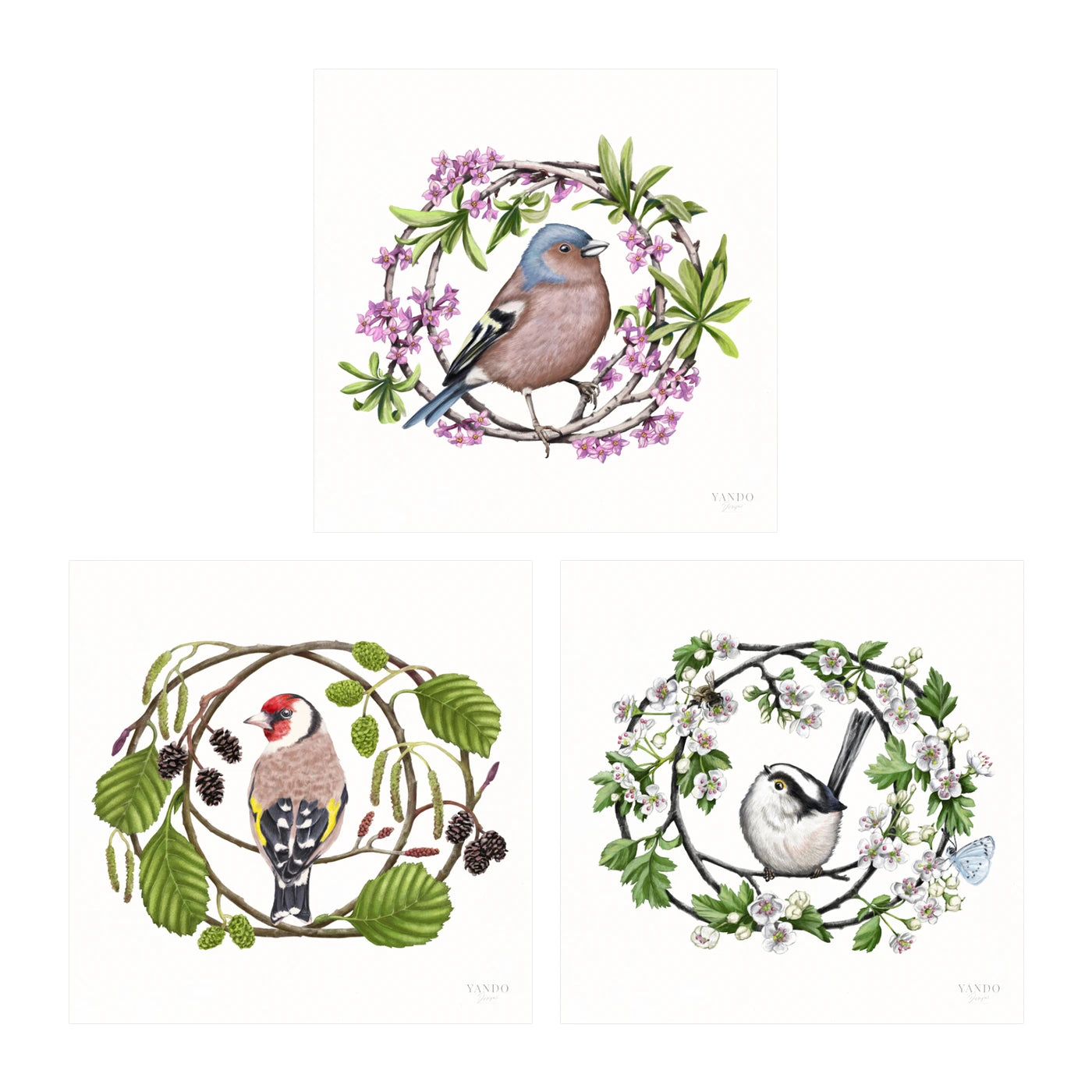 Heimische Gartenvögel - Kunstdruck-Sammlung