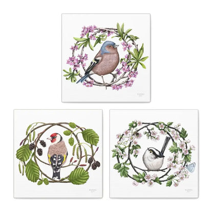 Heimische Gartenvögel - Leinwand-Sammlung