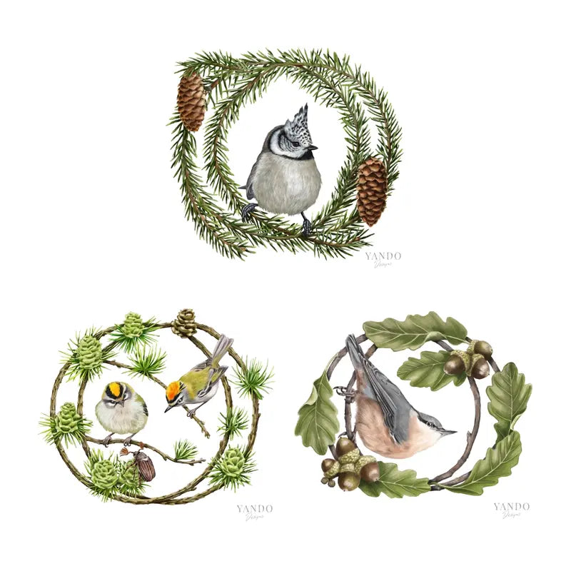 Heimische Waldvögel - Kunstdruck-Sammlung