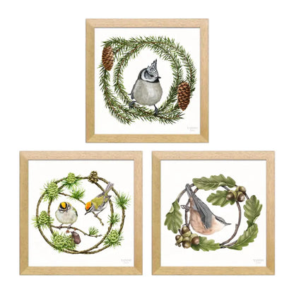 Heimische Waldvögel Wandbild-Sammlung in Naturholz Dunkel Holzrahmen, drei Motive