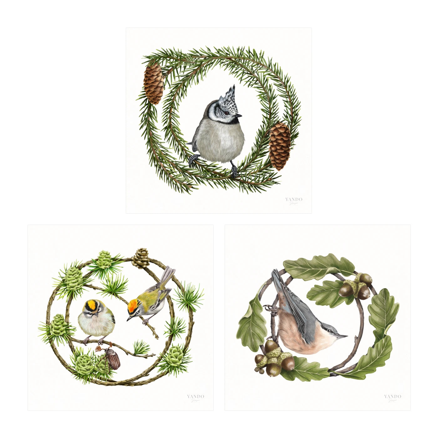Heimische Waldvögel - Kunstdruck-Sammlung