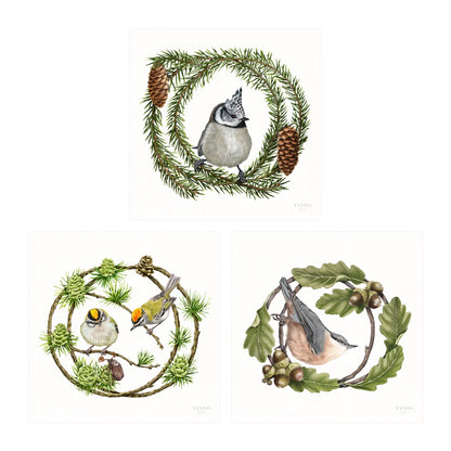 Heimische Waldvögel - Kunstdruck-Sammlung
