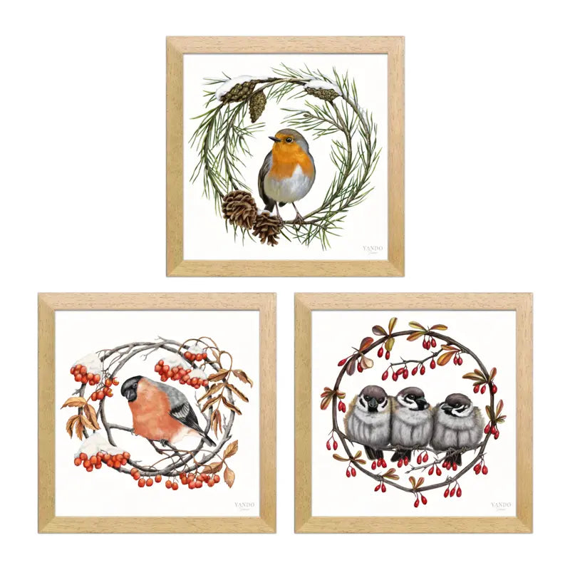 Heimische Wintervögel Wandbild-Sammlung in Naturholz Dunkel Holzrahmen, drei Motive