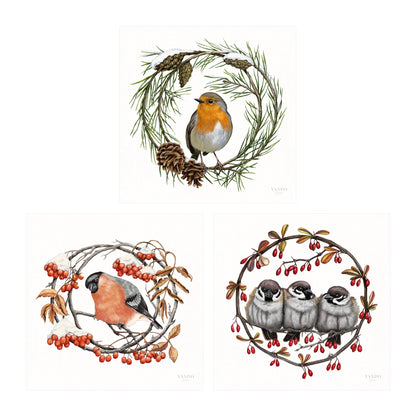Heimische Wintervögel - Kunstdruck-Sammlung