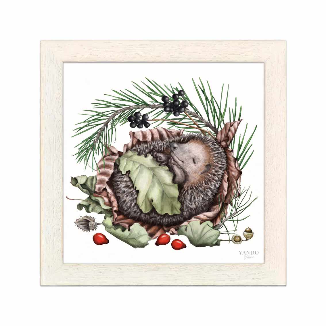 Schlafender Igel im hellen Naturholz-Rahmen — gerahmt und aufhängbereit