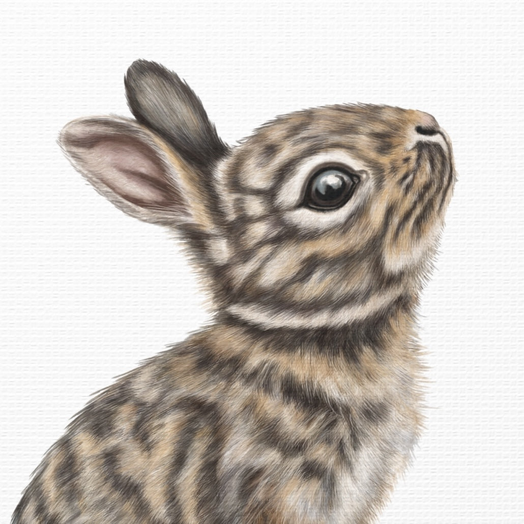Leinwanddruck Kaninchen II – Detailansicht Leinwandqualität