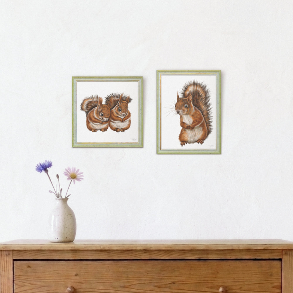 Eichhörnchen - Wandbild-Sammlung mit Holzrahmen