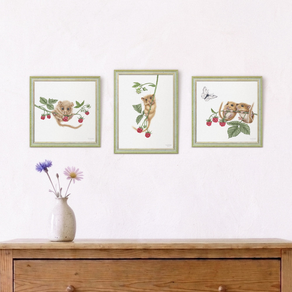 Haselmäuse und Himbeeren - Wandbild-Sammlung mit Holzrahmen