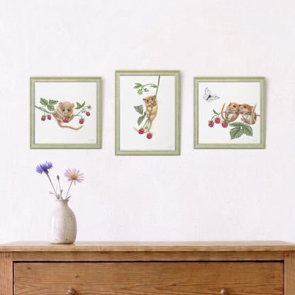 Haselmäuse und Himbeeren - Wandbild-Sammlung mit Holzrahmen
