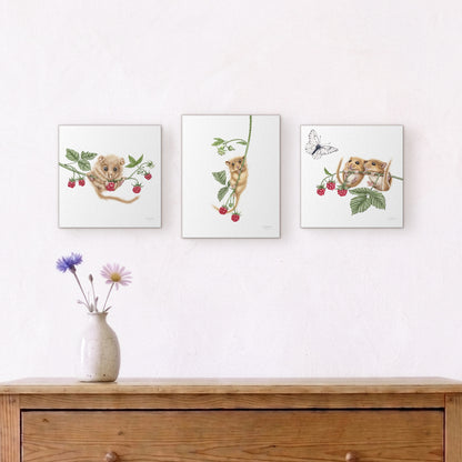 Haselmäuse und Himbeeren - Leinwand-Sammlung