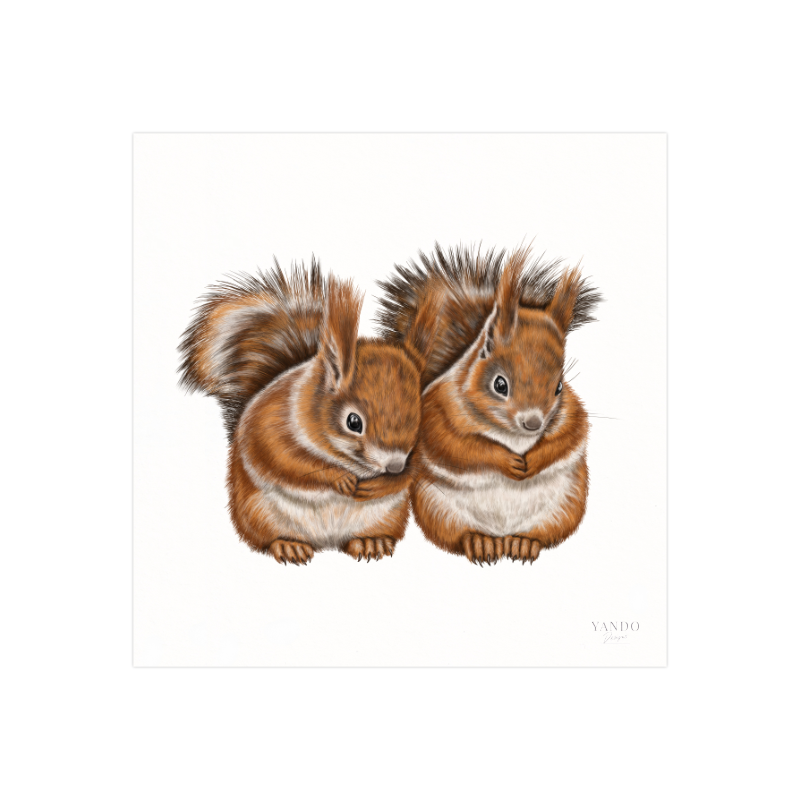 Kunstdruck Eichhörnchen Paar – Fine Art Print 20×20 cm
