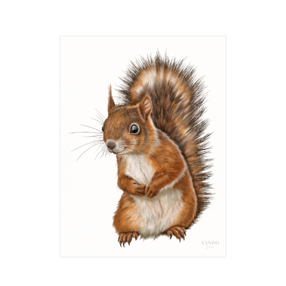 Kunstdruck Eichhörnchen – Fine Art Print 18×24 cm