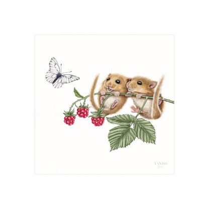 Kunstdruck Haselmäuse und Himbeere – Fine Art Print 20×20 cm
