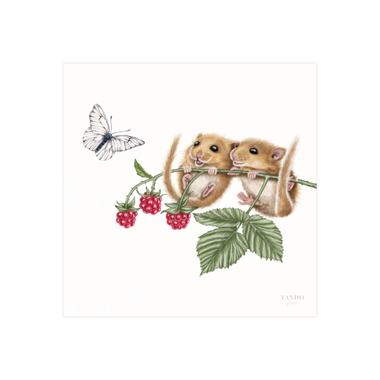 Kunstdruck Haselmäuse und Himbeere – Fine Art Print 20×20 cm