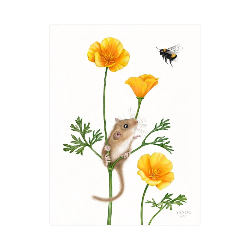 Kunstdruck – Haselmaus und Goldmohn, Fine Art Print auf Hahnemühle-Papier