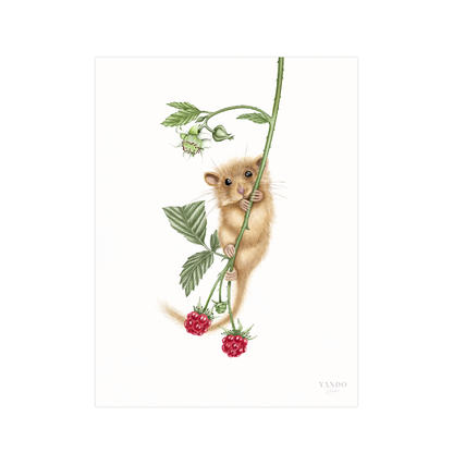 Kunstdruck Haselmaus und Himbeere – Fine Art Print 18×24 cm