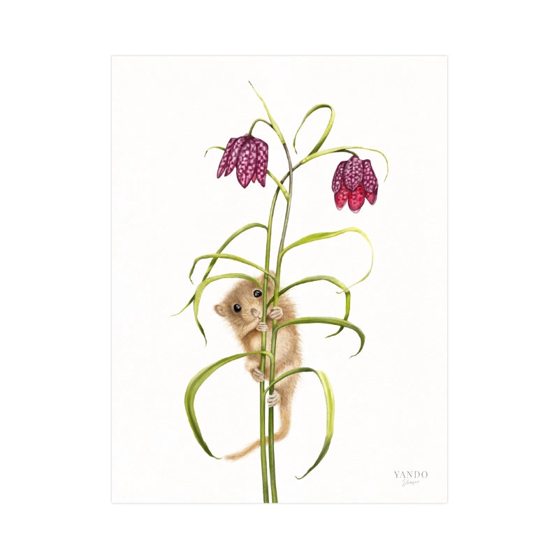 Handgemalter Kunstdruck Haselmaus und Schachbrettblume auf Hahnemühle Fine-Art-Papier, 18×24 cm